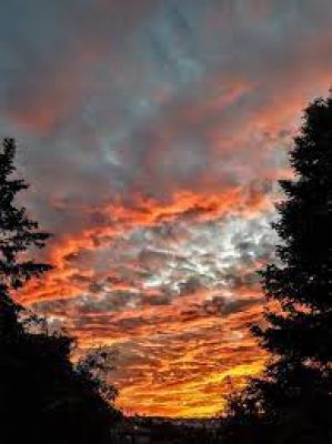 Awesome Tips On Nature Paintings - Sunset in Vision