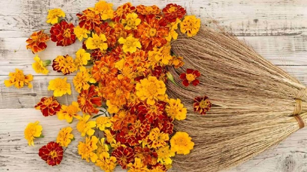 धनतेरस पर इस समय झाड़ू खरीदना शुभ, जानें पौराणिक महत्व