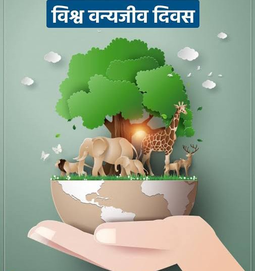 3 मार्व विशेष : विश्व वन्यजीव दिवस