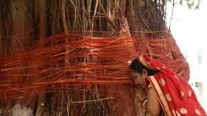  सुहागिन महिलाओं का विशेष दिन - वट सावित्री 