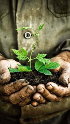  कृषि कार्य के समय रास्तों के विवादों में सरकार उचित ध्यान दे। 