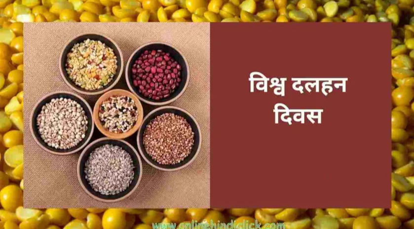 (विश्व दलहन दिवस/10 फरवरी/विशेष) पोषण सुरक्षा और टिकाऊ कृषि का प्रभावी साधन हैं दालें