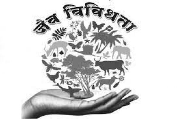 जैव विविधता पर मंडरा रहा है बड़ा खतरा