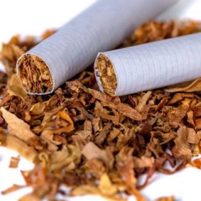 आखिर भारत में कहाँ से आया तम्बाकू ?