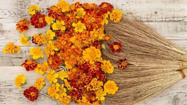 धनतेरस पर इस समय झाड़ू खरीदना शुभ, जानें पौराणिक महत्व