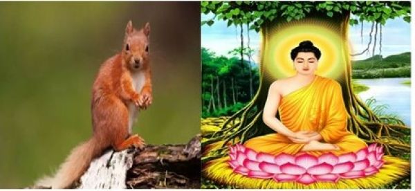 प्रेरक प्रसंग अध्याय 15:- मन के हारे हार है 