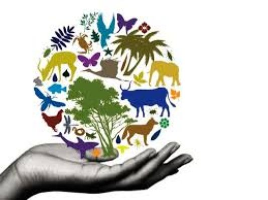 22 मई विशेष - जैव विविधता पर संकट के बादल