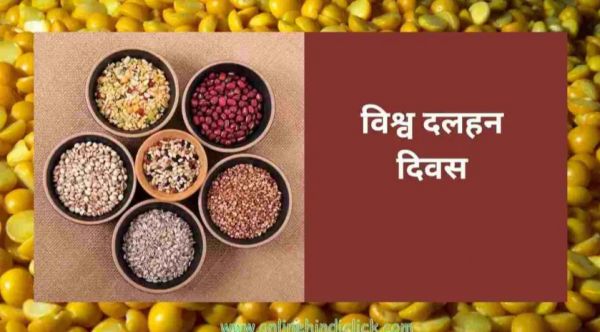 (विश्व दलहन दिवस/10 फरवरी/विशेष) पोषण सुरक्षा और टिकाऊ कृषि का प्रभावी साधन हैं दालें