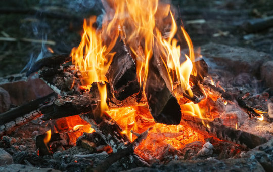 Oldest evidence of the controlled use of fire to cook food, researchers report