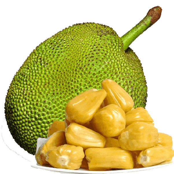 कटहल खाने के बाद क्या नहीं खाना चाहिए