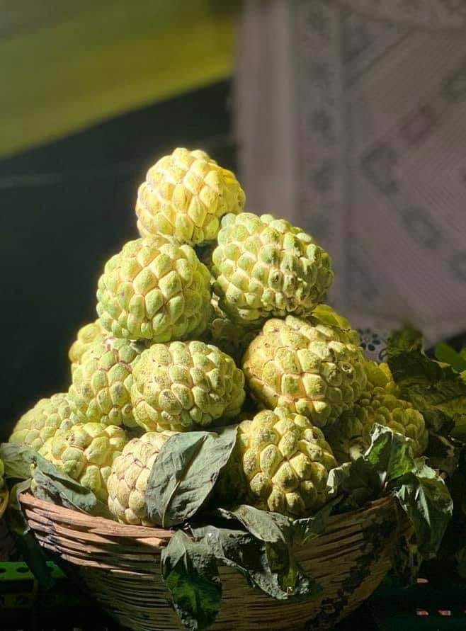 औषधीय गुणों से भरपूर सीताफल 