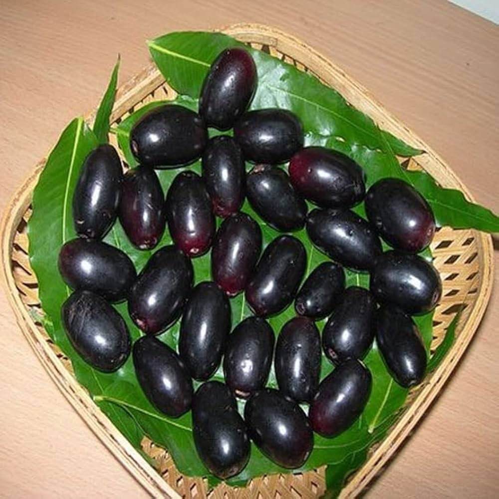 काला जामुन : गुठली से लेकर पत्ते तक हैं फायदेमंद