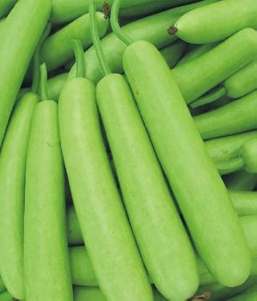 लौकी के 9 स्वादिष्ट रूप: सादी सब्जी का खास अंदाज