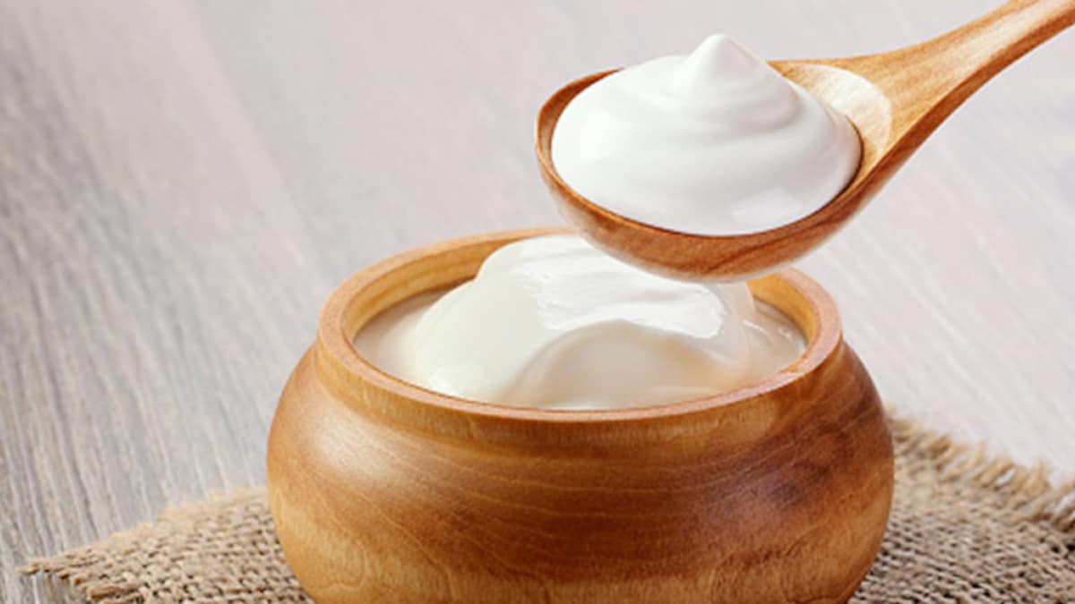 गर्मियों में दही का सेवन कितना सही? जानें आयुर्वेद में लिखे सेवन के सही तरीके  