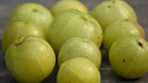 रोज करें 1-2 ताजे आंवले का सेवन, फौलाद सा मजबूत बन जाएगा शरीर