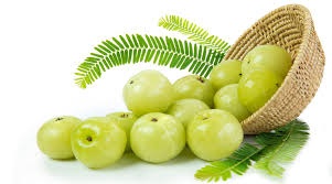 रोज खाएं एक से दो आंवला