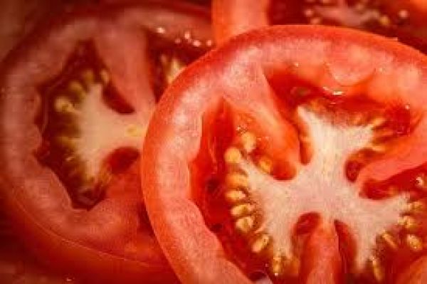 Tracing tomatoes' health benefits to gut microbes