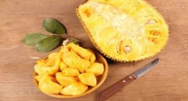  कटहल खाने से सेहत को मिलते हैं ये बेमिसाल फायदे