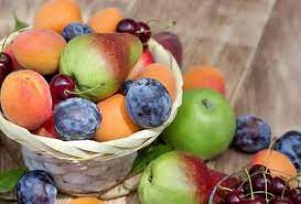 मानसून में बीमारियों से बचने के लिए डाइट में शामिल करें ये 5 फ्रूट्स