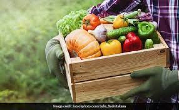 पेट की सेहत के लिए फाइबर बेहद जरूरी है