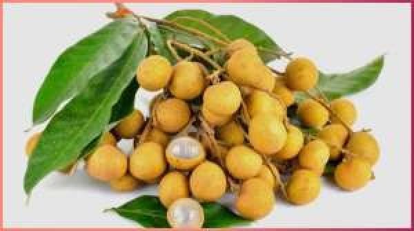  आयरन की कमी दूर करती लौंगन फल