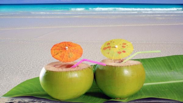 सेहत: पथरी में फायदेमंद नारियल पानी
