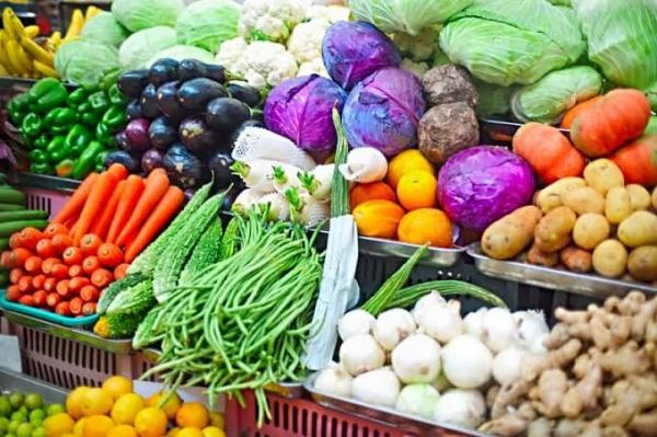 गर्मियों में नाश्ते में शामिल करें ये चीजें...दिनभर हाइडट्रेड रहेगा शरीर