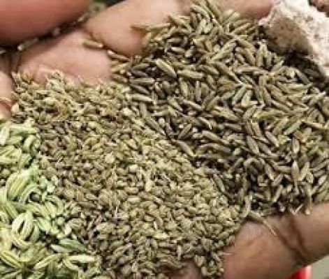 इन चीजों को कहा गया है पेट और पाचन के लिए पंचामृत