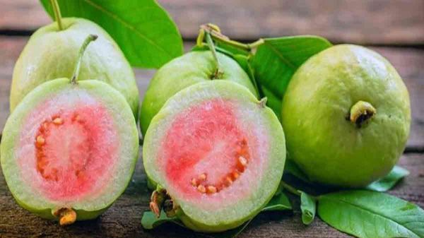 अमरूद को भूनकर खाने के फायदे