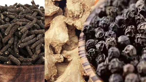 जुकाम से बचने के लिए फायदेमंद है त्रिकुट चूर्ण 