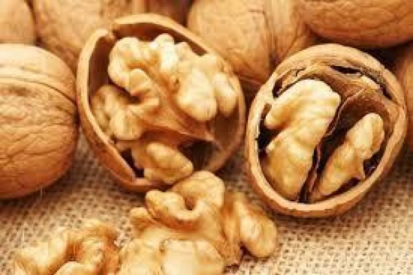 दिमाग तेज करने के लिए फायदेमंद है अखरोट का सेवन