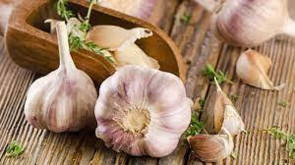 दिल के लिए फायदेमंद हैं लहसुन  