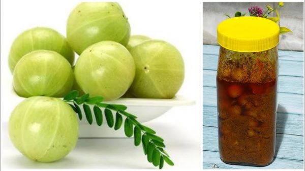 इस तरह से बनाएं आंवले की स्वादिष्ट चटनी