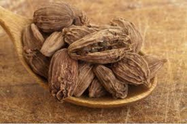 बड़ी इलायची का आयुर्वेदिक महत्व