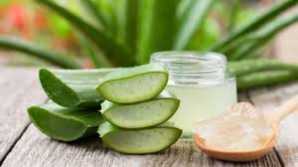 एलोवेरा: बालों और त्वचा की देखभाल का प्राकृतिक समाधान ! 
