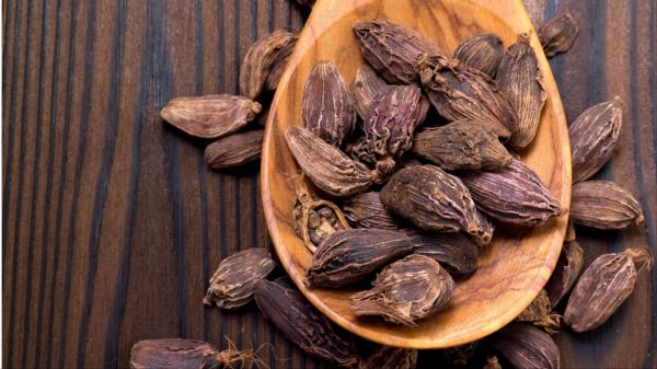 बड़ी इलायची का आयुर्वेदिक महत्व