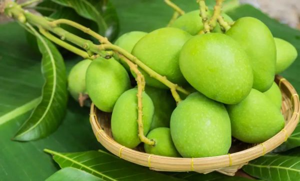  शुगर के मरीजों के लिए फायदेमंद - कच्चा आम