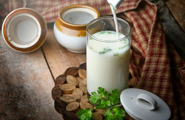 छाछ के फायदे: गट हेल्थ से लेकर इम्यून सिस्टम तक