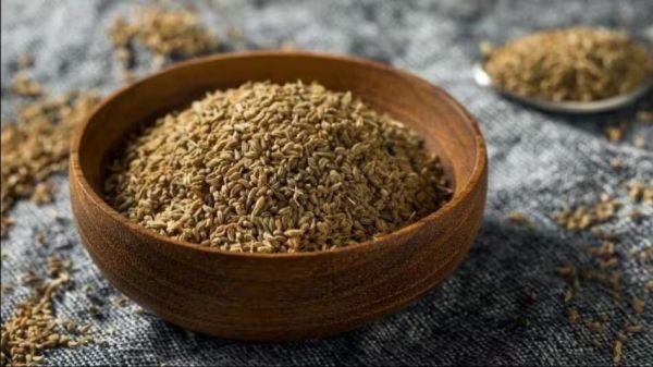 औषधीय गुणों से भरपूर है अजवाइन