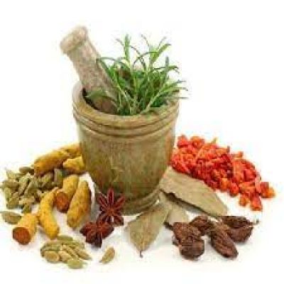 "प्रियंगु: पेट की परेशानी से लेकर त्वचा की चमक तक, आयुर्वेद का अनमोल तोहफा"