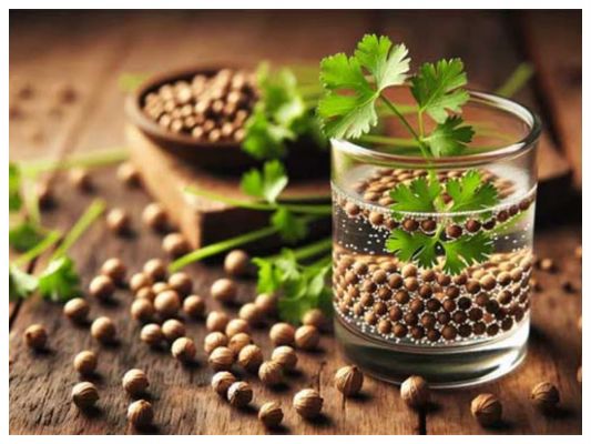 धनिए का पानी: एक प्राकृतिक औषधि, जो सेहत को दे कई फायदे