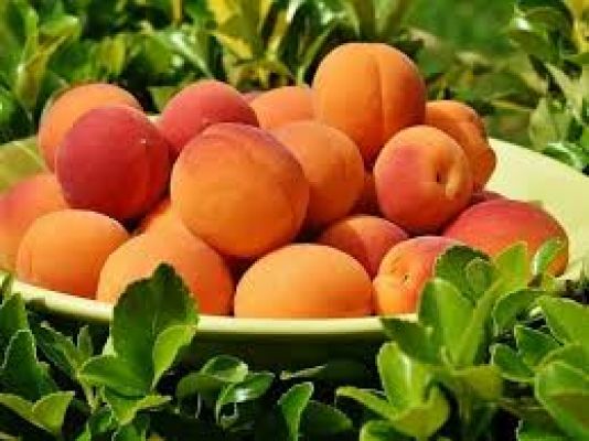 सेहत का खजाना: पोषक तत्वों से भरपूर आड़ू