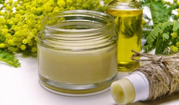 फटे होठों से पाएं छुटकारा! घी-एलोवेरा से घर पर बनाएं नेचुरल लिप बाम