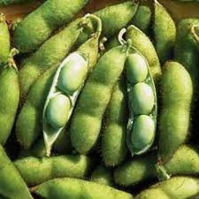 दिखने में छोटी, लेकिन पोषक तत्वों का खजाना है ये हरी फली