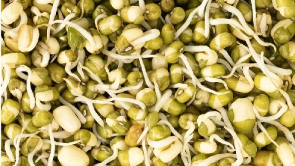 अंकुरित मूंग खाने के फायदे