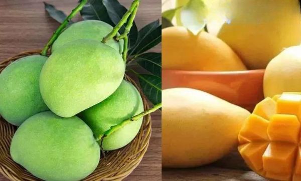 कच्चा या पका आम, कौन सा इस्तेमाल करें और कौन सी Dishes बनाएं  