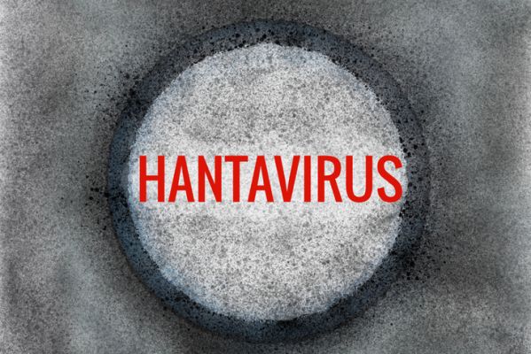 दूरस्थ द्वीप पर हंतावायरस का नया मामला सामने आने का संदेह है, संपर्क जांच जारी है।