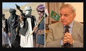 तालिबानी आतंकी संगठन की पाक सरकार को धमकी, हमला नहीं रोका तो बड़े नेताओं को बनाएंगे निशाना