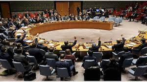 संयुक्त राष्ट्र सुरक्षा परिषद में भारत की अस्थाई सदस्यता की उम्मीदवारी का समर्थन करेगा मालदीव