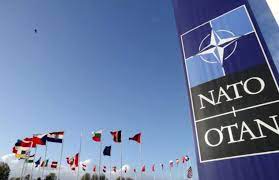 फिनलैंड होगा नाटो का 31वां सदस्य देश: नाटो